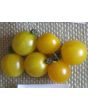 Tomato 'Small Gold Cherry'