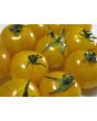Tomato 'Ester Hess Yellow Cherry'