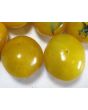 Tomato 'Ester Hess Yellow Cherry'