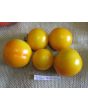 Tomato 'Yellow Perfection'