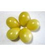 Tomato 'Old Ivory Egg'