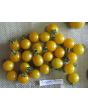 Tomato 'Burgess Lemon'