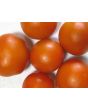 Tomato 'Jaune Flamme'