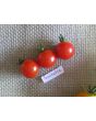 Tomato 'Sweetie'