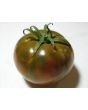 Tomato 'Cherokee Chocolate'