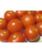 Tomato 'High Carotene'