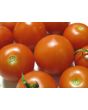 Tomato 'High Carotene'