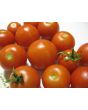Tomato 'High Carotene'