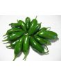 Hot Pepper ‘TAM Jalapeno’ Seeds (Certified Organic)