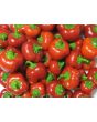 Sweet Pepper ‘Mini Red Bell’ Seeds (Certified Organic)