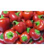Sweet Pepper ‘Mini Red Bell’ Seeds (Certified Organic)