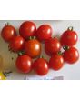 Tomato 'Peacevine Cherry'