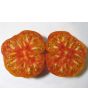 Tomato 'Northern Lights'