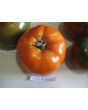 Tomato 'Italian Beefsteak' Seeds (Certified Organic)