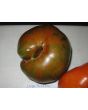 Tomato 'Large Barred Boar' 