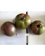 Tomato 'Pink Boar' 