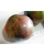 Tomato 'Pink Boar' 