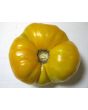 Tomato 'Yellow Brandywine'
