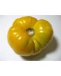 Tomato 'Yellow Brandywine'
