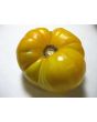 Tomato 'Yellow Brandywine'