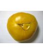 Tomato 'Yellow Brandywine'