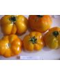 Tomato 'Yellow Stuffer' 
