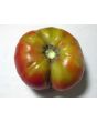Tomato 'Flathead Monster Pink' Seeds (Certified Organic)