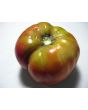 Tomato 'Flathead Monster Pink' Seeds (Certified Organic)