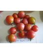 Tomato 'Garden Pearl' Seeds (Certified Organic)