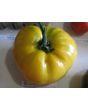 Tomato 'Basinga' 