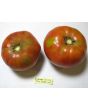 Tomato 'Flathead Monster Pink' Seeds (Certified Organic)