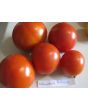 Tomato 'Mountain Princess'