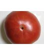 Tomato 'Flathead Monster Pink' Seeds (Certified Organic)