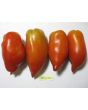 Tomato 'Jersey Giant'