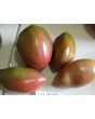Tomato 'Purple Russian'