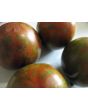 Tomato 'Black and Red Boar' 