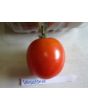Tomato 'Versalskie' 