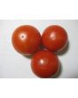 Tomato 'Tomcat F2' Seeds (Certified Organic)