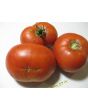 Tomato 'Believe It Or Not' 