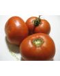 Tomato 'Believe It Or Not' 
