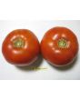Tomato 'Thessaloniki'