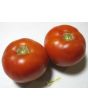 Tomato 'Thessaloniki'