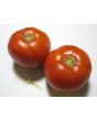 Tomato 'Thessaloniki'