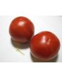 Tomato 'Thessaloniki'
