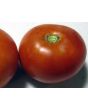 Tomato 'Manitoba'