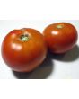 Tomato 'Manitoba'