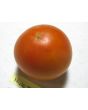 Tomato 'Mule Team' Seeds