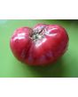 Tomato 'German Johnson' Seeds (Certified Organic)
