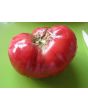 Tomato 'German Johnson' Seeds (Certified Organic)