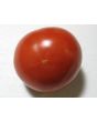 Tomato 'Legend'